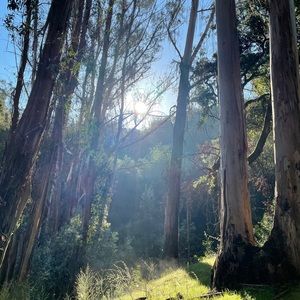 Meet your Posher, Monique